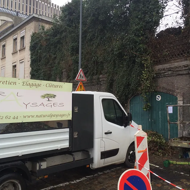 Avant suppression de la végétation