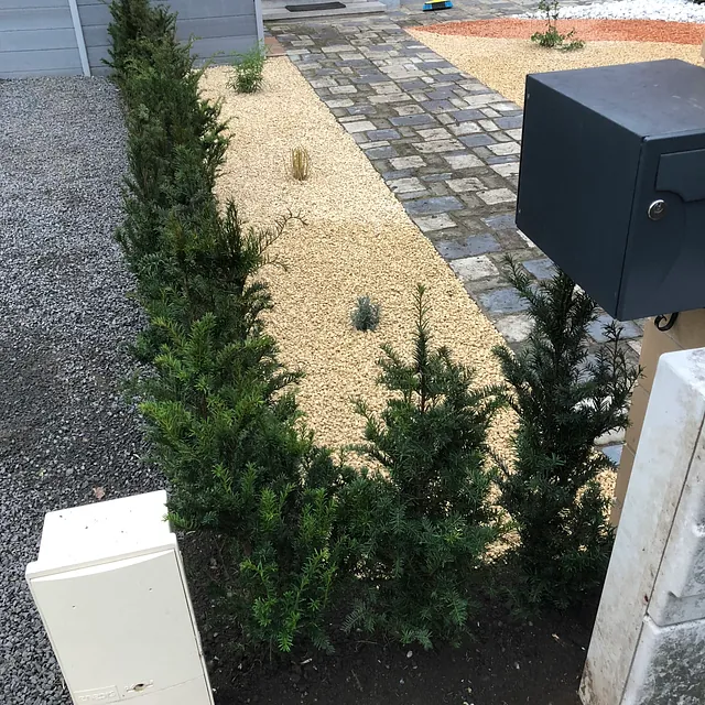 Création de massifs et plantation de haies de taxus et arbustes variés