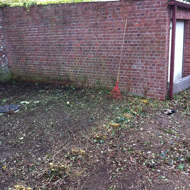 Après arrachage de la haie
